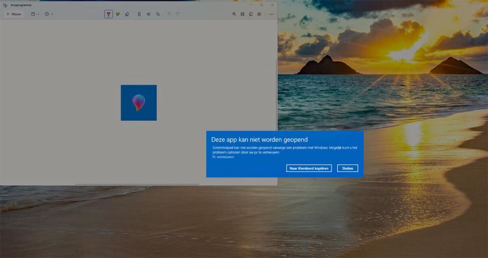 Microsoft: Apps Windows 11 Crashen | SoftwareGeek.nl