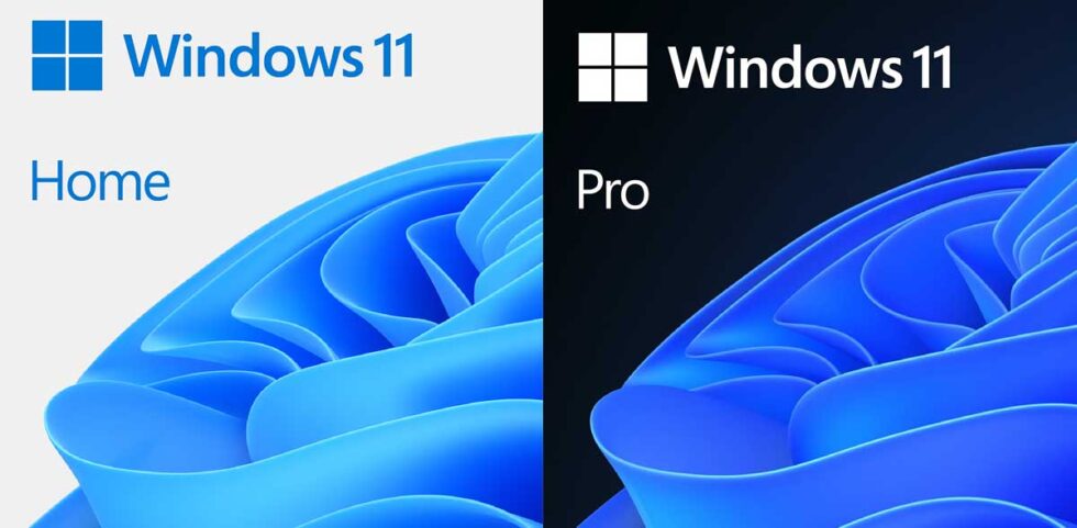 verschil windows 11 home en pro education