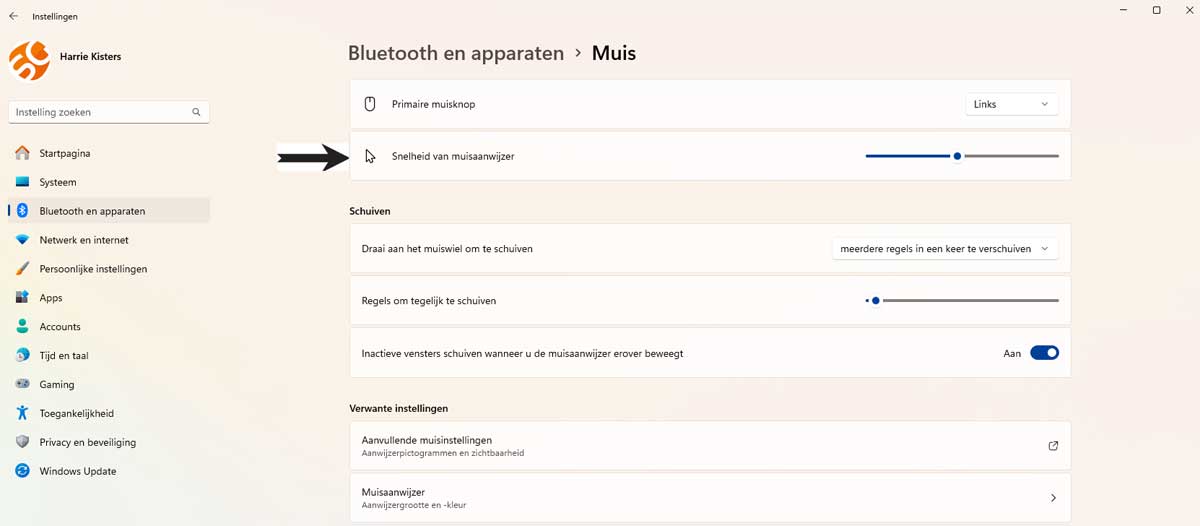 Muisinstellingen Aanpassen in Windows 11