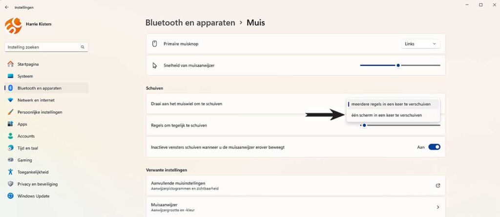 Muisinstellingen Aanpassen in Windows 11