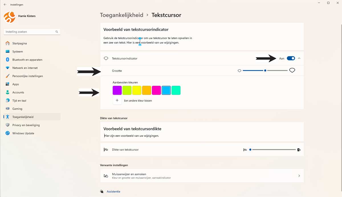 Muisinstellingen Aanpassen in Windows 11