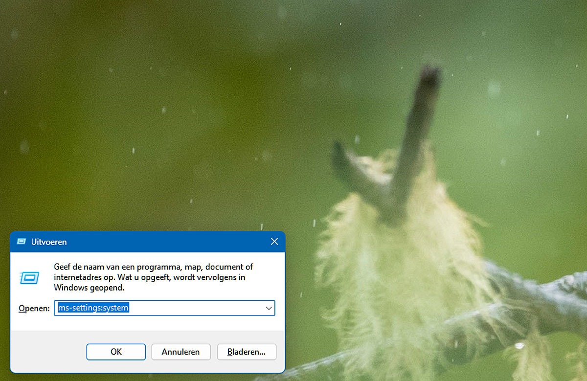 Open Zo De App Instellingen in Windows 11